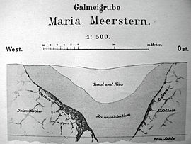 Profil von der Grube Maria Meerstern, Auszug aus der Lagerstättenkarte des Oberbergamts Bonn 1882