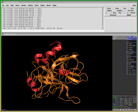 Die grafischen Benutzeroberflächen von PyMOL mit der gerenderten Darstellung einer Proteinstruktur.