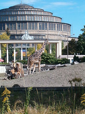Wroclaw Zoo-HalaLudowa.jpg