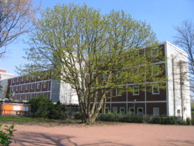 Albertus-Magnus-Gymnasium