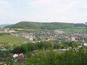 Cholfirst von Neuhausen am Rheinfall aus gesehen mit Rhein und Flurlingen