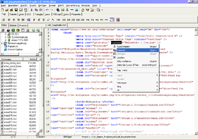 Html editor phase5 -release 2000 01 21-.png