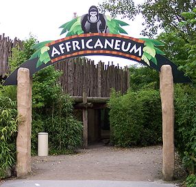 Zoo Münster Eingang zum Africaneum.jpg