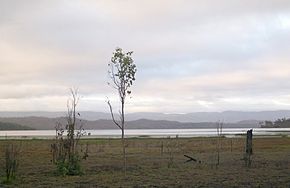 Blick vom Mulligan Highway auf den Lake Mitchell an einem frühen Dezembermorgen (2009)