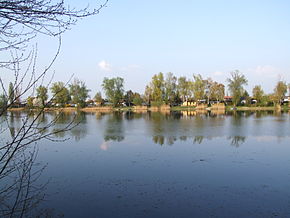 Speyerlachsee, Blick auf das Ostufer.jpg