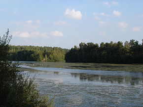 Der nördliche Teil des Sees von Westen aus gesehen.