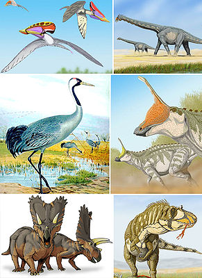 Verschiedene Angehörige der Avemetatarsalia, im Uhrzeigersinn von links oben: Tupuxuara, Alamosaurus, Tsintaosaurus, Daspletosaurus, Pentaceratops, Kranich (Grus grus).