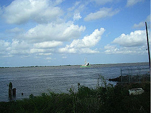 Der Mississippi in Venice wenige Kilometer vor dessen Mündung
