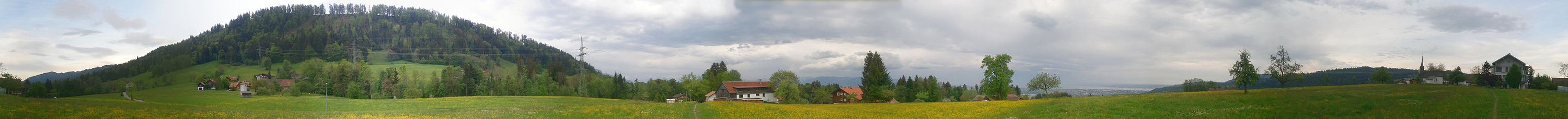 360° Panorama einiger Haselstauder Begparzellen. Von links nach rechts: Hauat, Heilgereuthe, Jennen. In der rechten Hälfte ist am Horizont der Bodensee zu erkennen. Das Bild wurde in einer Höhe von 664 Metern aufgenommen.