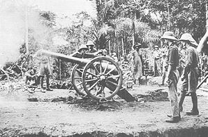 Britisches Geschütz in Kamerun, 1915