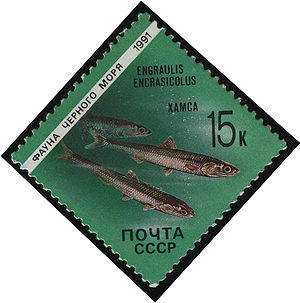 Europäische Sardelle auf einer Briefmarke der UdSSR