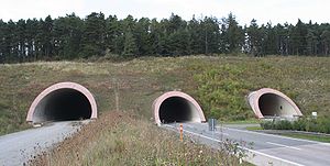 Tunnel Behringen