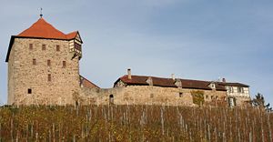 Burg Wildeck (2006)