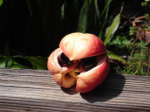 Akee (Frucht)