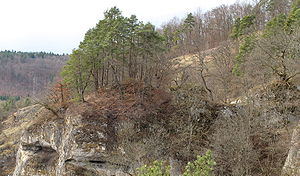 Kernburg  in Spornlage von Osten