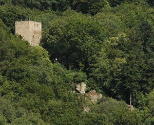 Alt-Wolfstein von  Burg Neu-Wolfstein aus gesehen