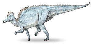 Lebendrekonstruktion von Amurosaurus