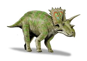 Lebendrekonstruktion von Anchiceratops