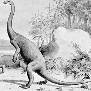 Lebendrekonstruktion von Anchisaurus (1923)