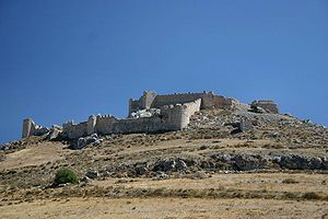 Burg Larissa, Gesamtansicht