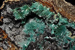 Auricalcite et goethite 1(Maroc).jpg