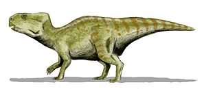 Spekulative Rekonstruktion von Auroraceratops