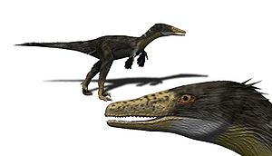Austroraptor, Lebendrekonstruktion