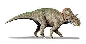 Spekulative Lebendrekonstruktion von Avaceratops