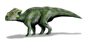 Lebendrekonstruktion von Bagaceratops