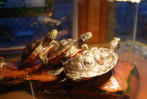 Basking turtles.JPG