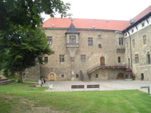 Burg Budyně