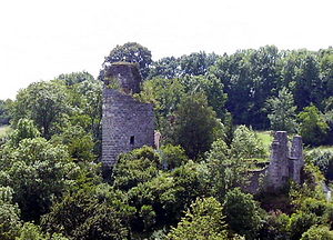 Burg Altmannstein.jpg