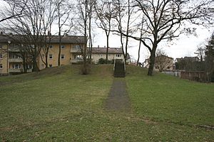 Burg Bachberg, Ansicht des Hügels von Westen 2010.