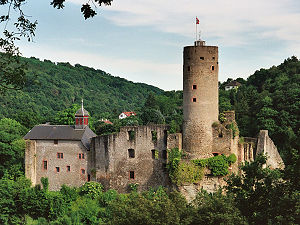 Die Ruine der Burg im Jahr 2002.