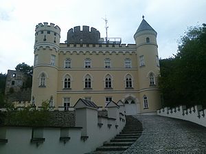 Burg Hartenstein (Niederösterreich)