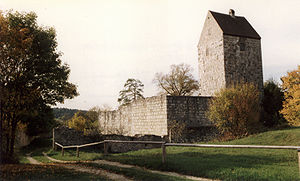 Ansicht der Ostseite der Burgruine aus dem Jahr 1990