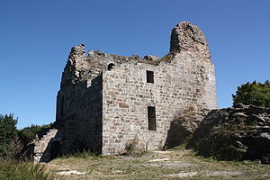 Gesamtansicht der Burg von Süden.