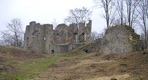 Der Palas der Burg Rauheneck