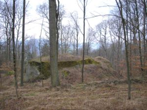 Burg Rotenhan - Gesamtansicht über den Halsgraben