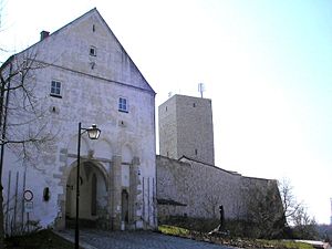 Burg Vohburg - Torbau und "Bergfried"