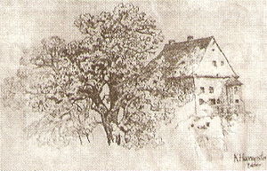 Burg Zolchow.jpg