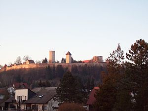 Panorama der Burganlage