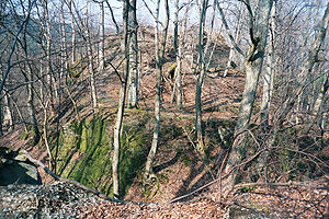 Die Reste der Burg Hattstein im Jahr 2004 mit Graben im Vordergrund und dem Stück einer Mauer rechts oben auf dem Hügel
