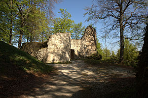 Burgruine Leienfels – Ansicht der Kernburg mit Zugang und einem flankierenden Rundturm