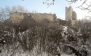 Burgruine Leonstain im Winterkleid