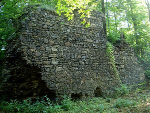 Ruine der Burg Rohnau