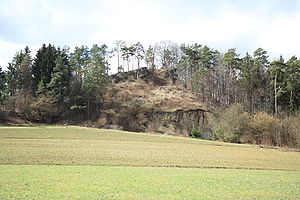 Burgstall Wartberg – Ansicht aus östlicher Richtung