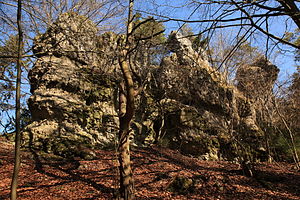Burgstall Alte Bürg – Das Felsriff, um dass die Burganlage errichtet wurde