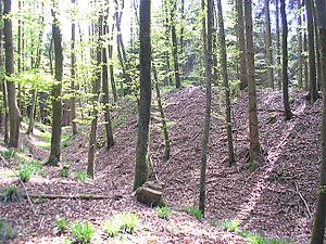 Burgstall Hattenberg - Der etwa vier Meter hohe Frontwall der Vorburg nach Süden