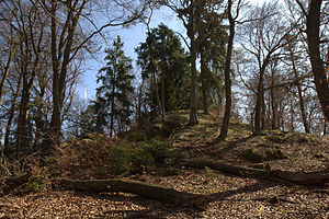 Bild 1: Burgstall Löweneck - Ansicht aus nordwestlicher Richtung